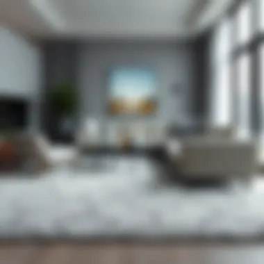 Elegant gray area carpet in a modern living room setting