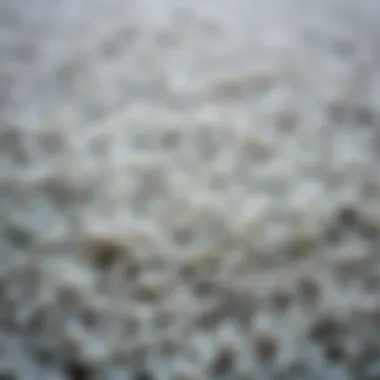 Close-up of a textured gray area carpet showcasing its fibers