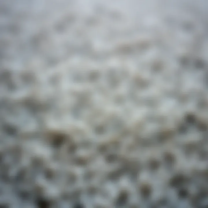 Close-up of a textured gray area carpet showcasing its fibers