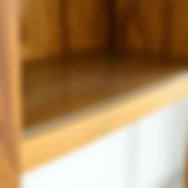 Close-up of textured clear shelf liner on a wooden shelf