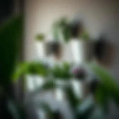 Step-by-step installation guide for wall planter pot holders