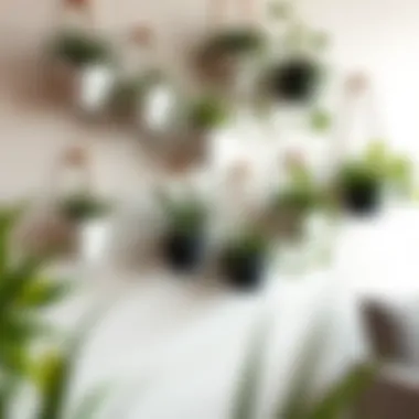 Stylish arrangement of various wall planter styles enhancing interior decor