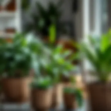 A beautifully arranged interior featuring metal plant baskets with lush greenery.