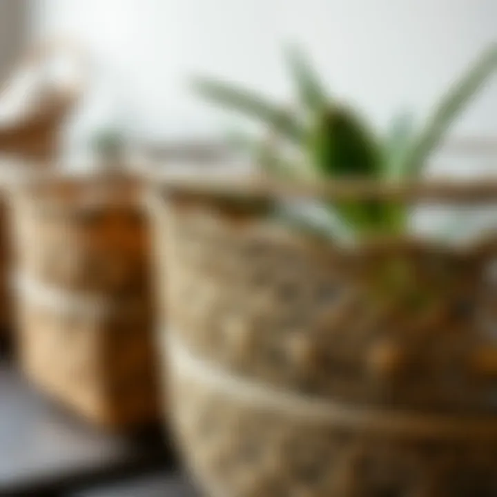 Close-up of a metal plant basket with intricate patterns.