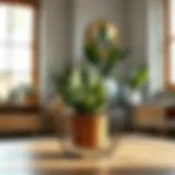 An elegant metal plant basket showcasing a minimalist design.