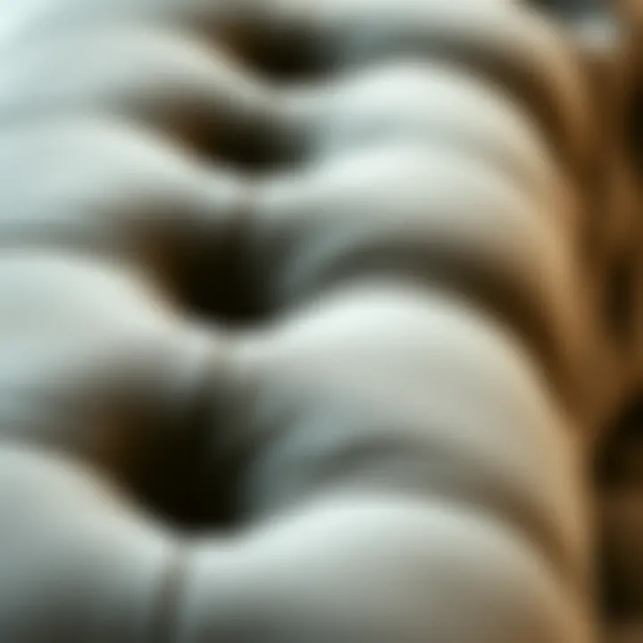 Close-up of velvet upholstery showcasing intricate button tufting