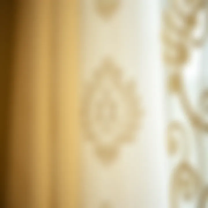 Detail of Intricate Embroidery on Voile Fabric Close-up of intricate voile embroidery patterns