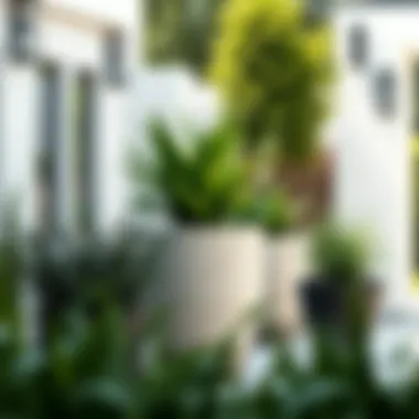 XL Plant Pots in Outdoor Spaces Outdoor garden featuring oversized plant pots with lush greenery