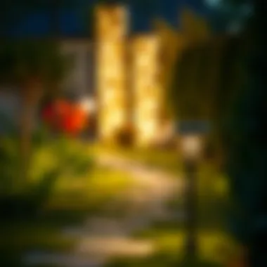 Solar-Powered Pathway Lights for Safety Charming garden path lit with solar-powered lights ensuring safety and decor