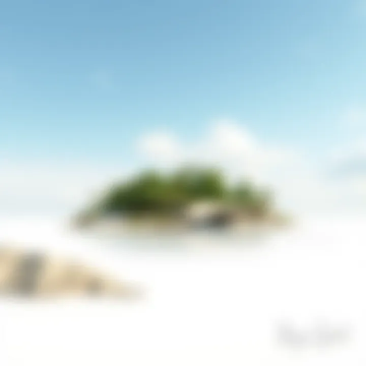 Conceptual design sketch of a human-engineered island with ecological features