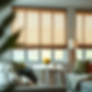 Diverse Customization to Enhance Aesthetics Custom linen roll up shades in various colors and patterns