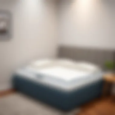 Twin mattress vacuum bag in a compact space