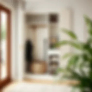 Tailored Slim Broom Closet Cabinet Customized slim broom closet cabinet tailored for small spaces