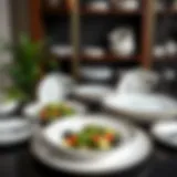 Elegant Assortment of Microwave Safe Salad Plates Elegant display of assorted salad plates showcasing modern designs