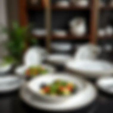 Elegant Assortment of Microwave Safe Salad Plates Elegant display of assorted salad plates showcasing modern designs