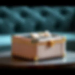 Elegant mini organizer box with a chic design