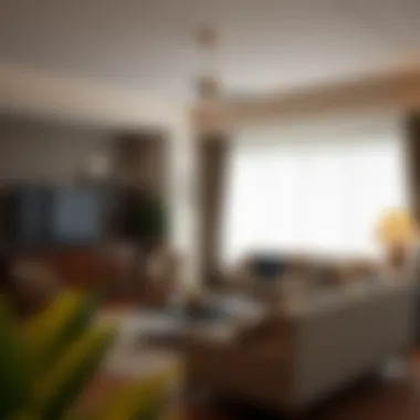 Contrasting Quality: Traditional vs. Discount Furnishings Comparison of traditional vs. reps discount furniture