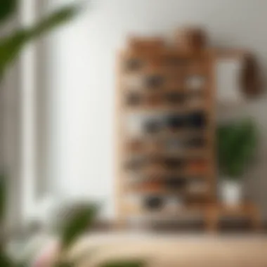 Elegant Shoe Rack Design Stylish shoe rack design for modern entryway