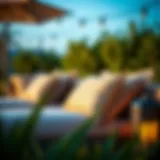 Elegant patio cushions demonstrating Velcro fastening