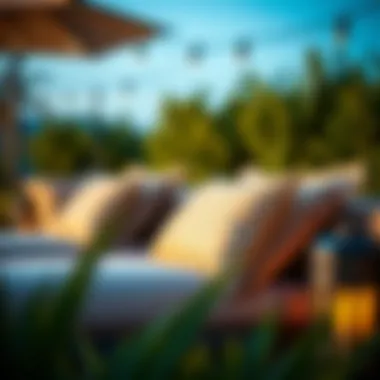 Elegant patio cushions demonstrating Velcro fastening