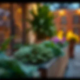 Planter Box Clearance: Maximizing Space and Aesthetic Appeal Introduction