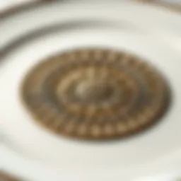 A close-up view of a raised rim dinner plate showcasing intricate design details.