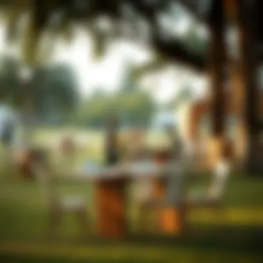 Rectangle folding table set up for an outdoor event