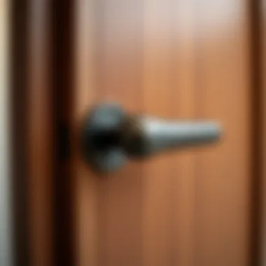 Close-up of a modern 36 80 door handle and finish