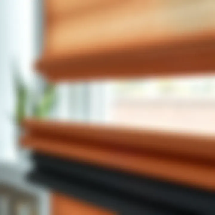 Customizable Fabric Options Close-up view of customizable fabric options for solar shades