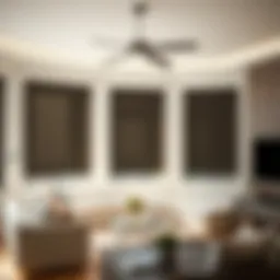 Elegant roll up solar shades enhancing a contemporary living room