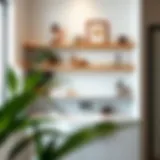 Stylish shelves over a modern sink showcasing decorative items