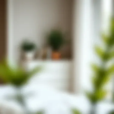 A skinny white dresser styled with plants and books in a cozy bedroom corner.