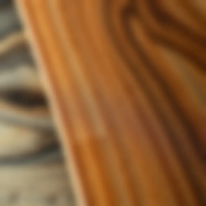 Close-up view of soft wood grain texture