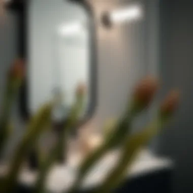 Close-Up Detailing of Black Bathroom Mirror with Light Close-up of black bathroom mirror detailing with light enhancement features