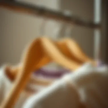 Comparison of wooden hangers and plastic alternatives