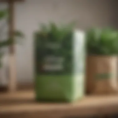 A close-up of a sustainable packaging solution for plant delivery