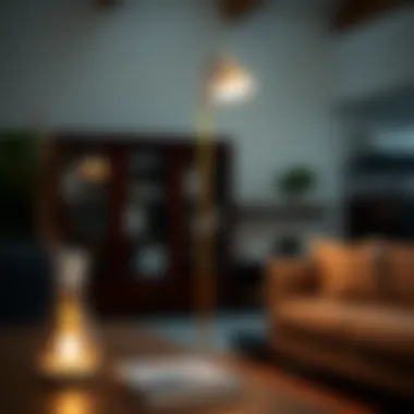 Innovative floor lamp featuring energy-efficient technology