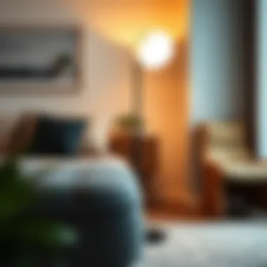 Versatile floor lamp adapting to different interior styles