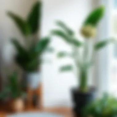 Creative ways to integrate artificial plants into home decor