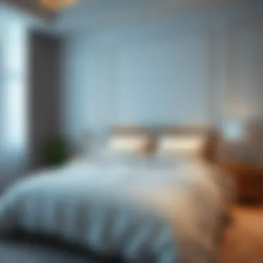 Elegant bedroom featuring a modern design with a thin comforter