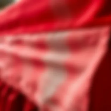 Close-up of luxurious fabric texture used in the red king bedskirt, showcasing quality and design