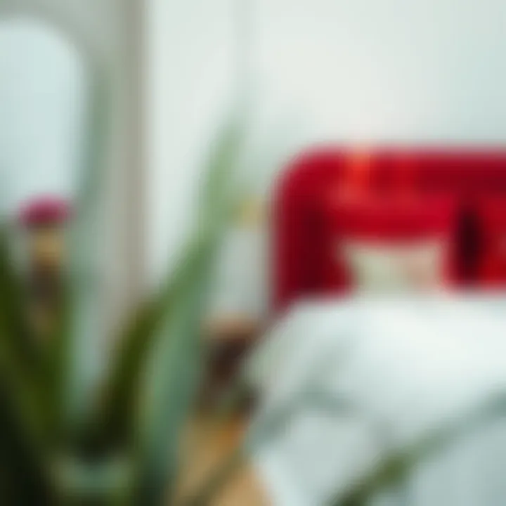 Tips for maintaining and caring for a red king bedskirt to ensure longevity and appeal